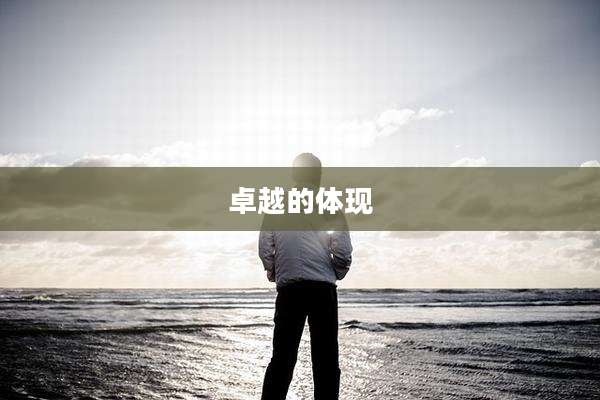 卓越的体现