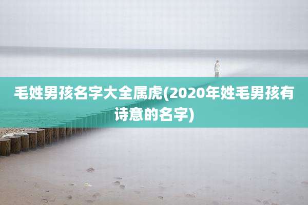 毛姓男孩名字大全属虎(2020年姓毛男孩有诗意的名字)