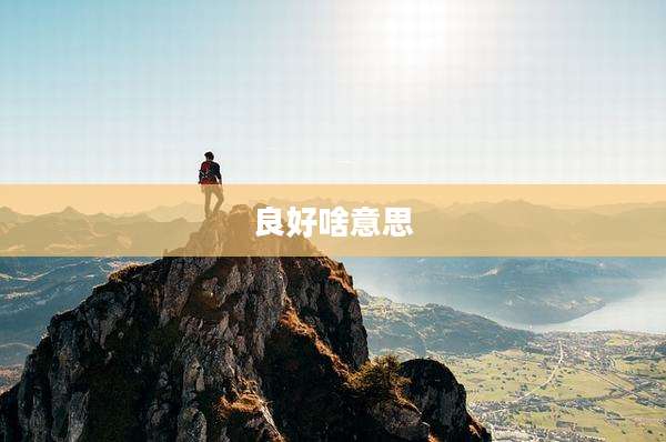 良好啥意思