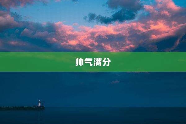 帅气满分
