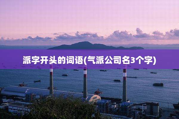 派字开头的词语(气派公司名3个字)