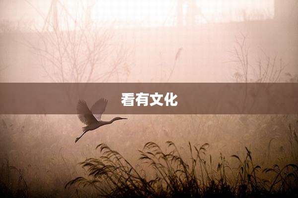 看有文化
