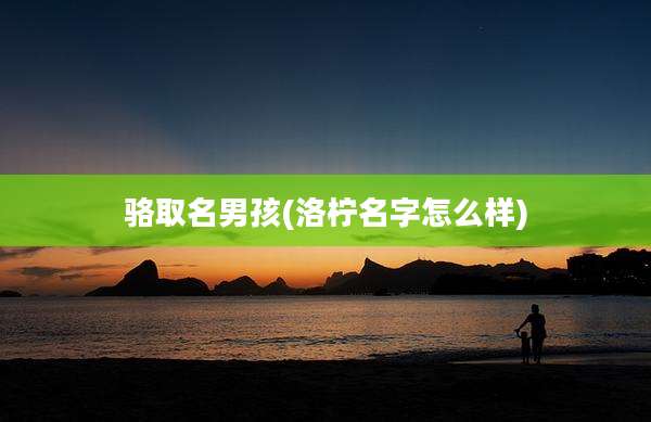 骆取名男孩(洛柠名字怎么样)