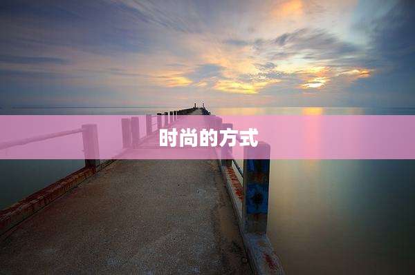 时尚的方式
