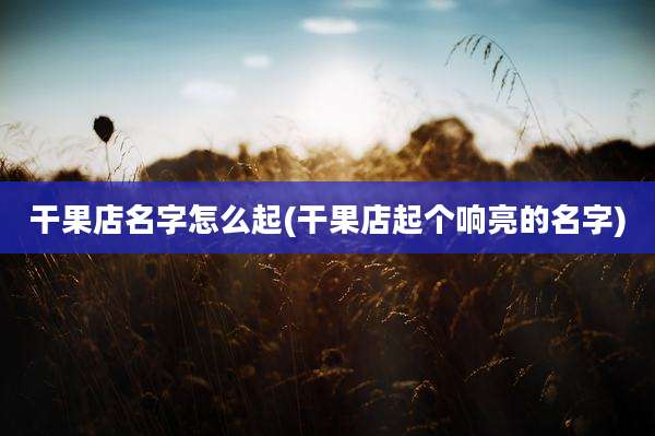 干果店名字怎么起(干果店起个响亮的名字)