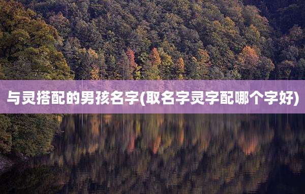 与灵搭配的男孩名字(取名字灵字配哪个字好)