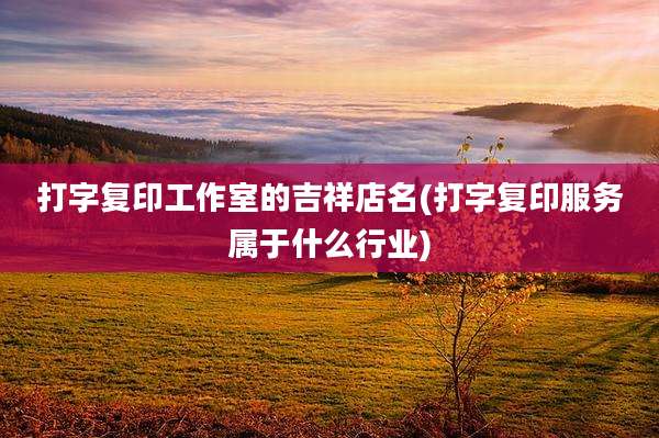 打字复印工作室的吉祥店名(打字复印服务属于什么行业)