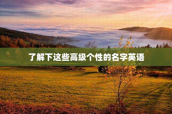 了解下这些高级个性的名字英语