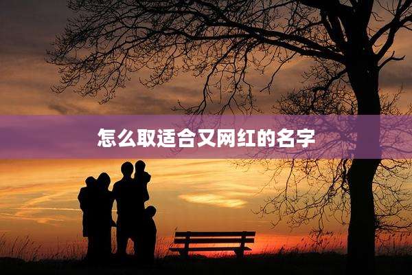 怎么取适合又网红的名字