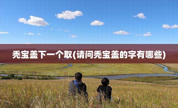 秃宝盖下一个取(请问秃宝盖的字有哪些)