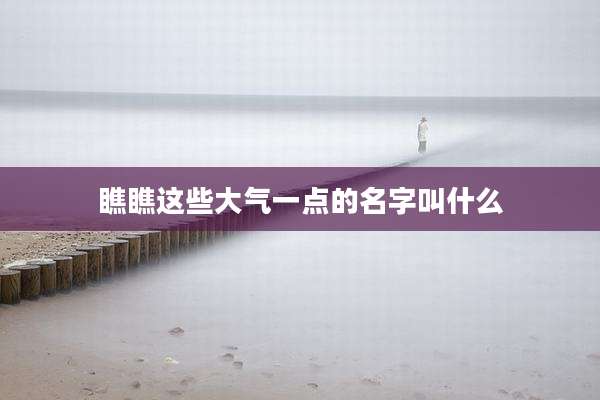 瞧瞧这些大气一点的名字叫什么