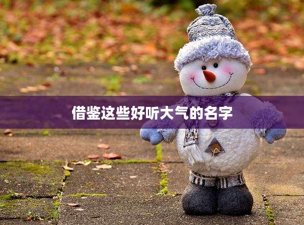 借鉴这些好听大气的名字