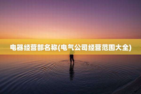 电器经营部名称(电气公司经营范围大全)