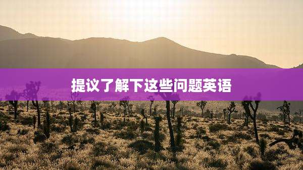 提议了解下这些问题英语