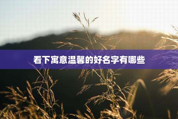 看下寓意温馨的好名字有哪些