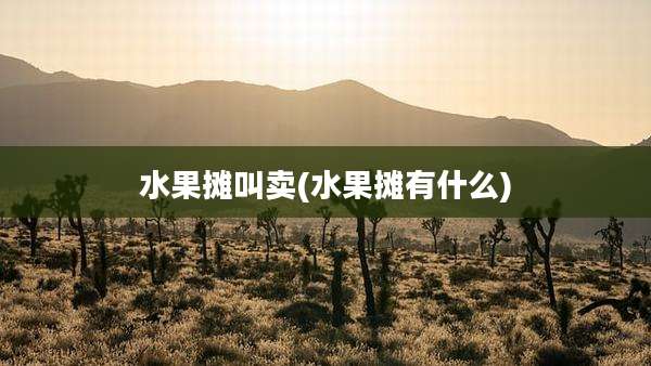 水果摊叫卖(水果摊有什么)