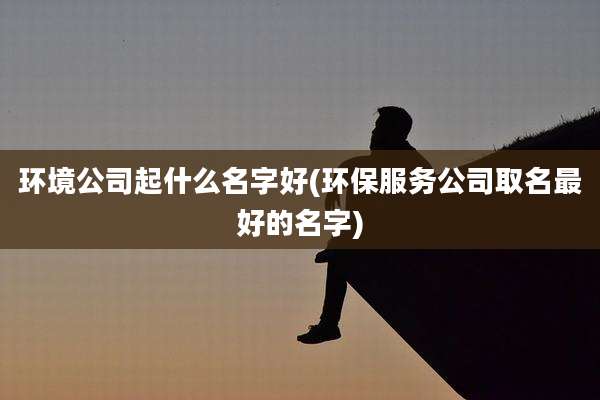环境公司起什么名字好(环保服务公司取名最好的名字)