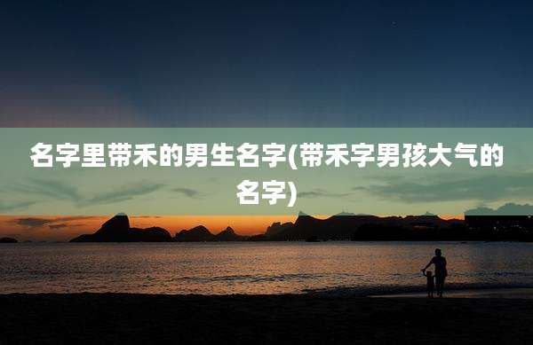 名字里带禾的男生名字(带禾字男孩大气的名字)