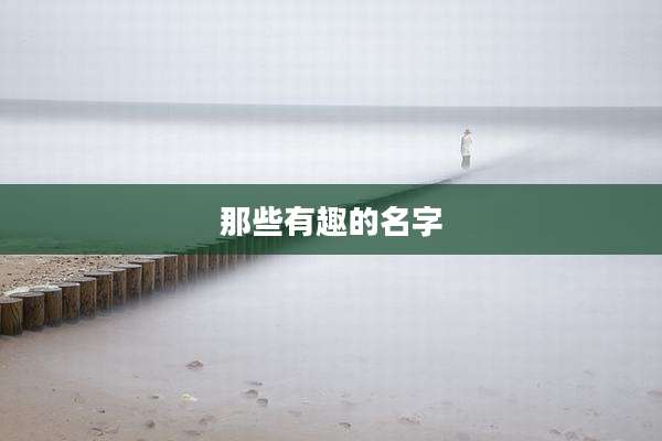 那些有趣的名字