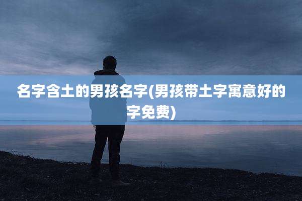 名字含土的男孩名字(男孩带土字寓意好的字免费)