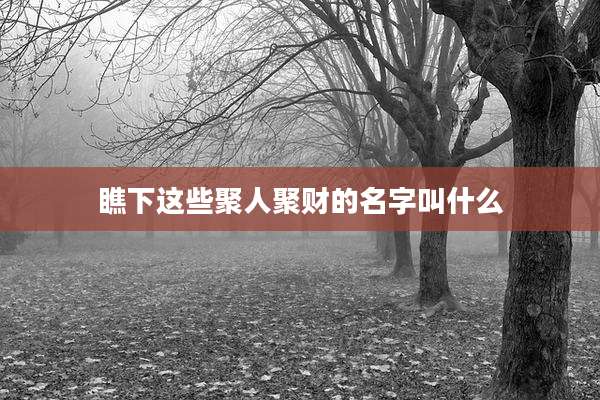 瞧下这些聚人聚财的名字叫什么