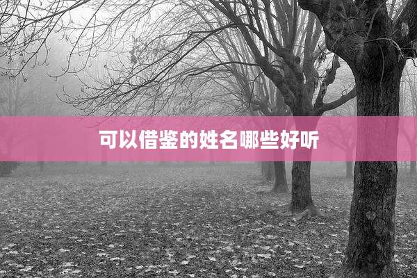 可以借鉴的姓名哪些好听