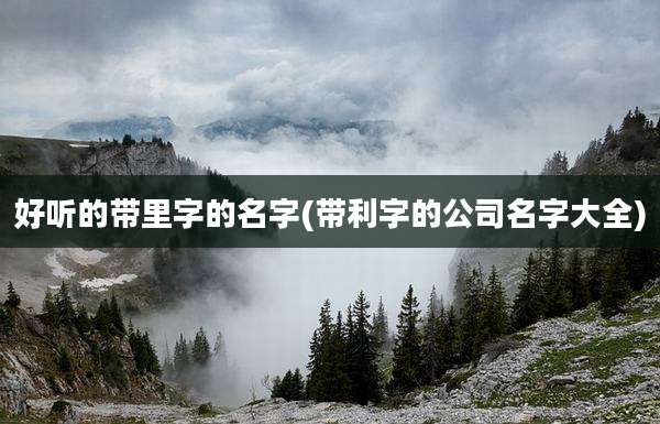 好听的带里字的名字(带利字的公司名字大全)