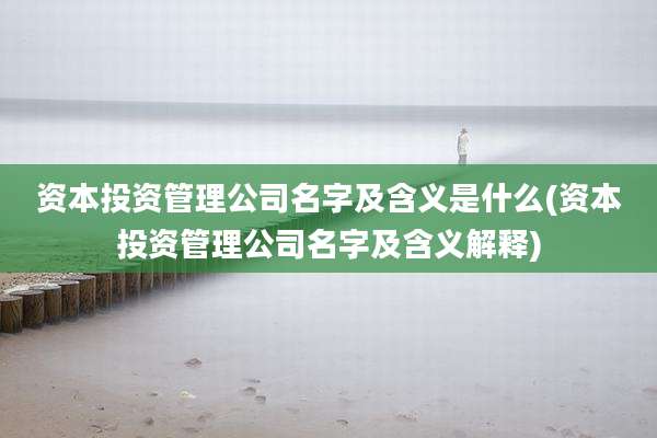 资本投资管理公司名字及含义是什么(资本投资管理公司名字及含义解释)