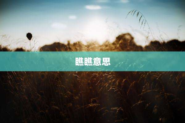 瞧瞧意思
