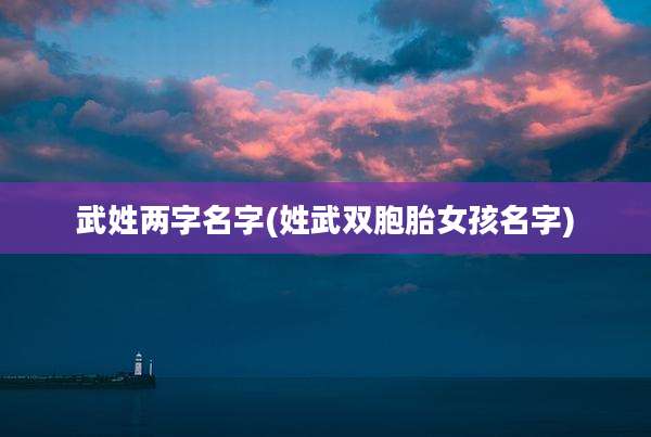 武姓两字名字(姓武双胞胎女孩名字)
