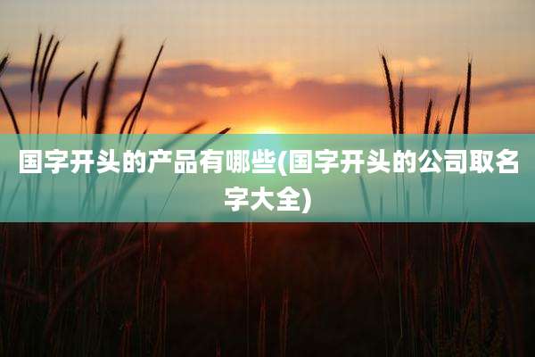 国字开头的产品有哪些(国字开头的公司取名字大全)
