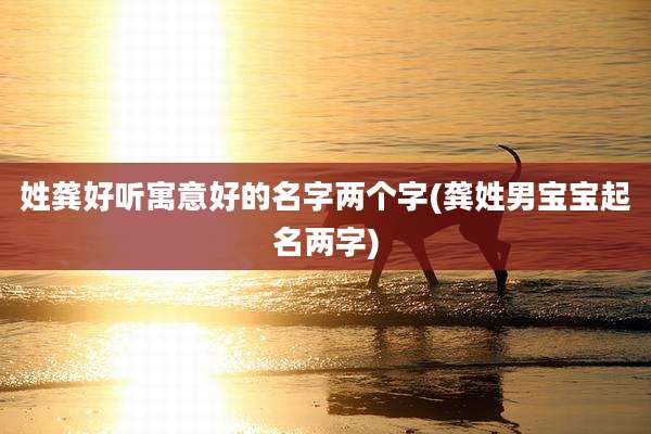姓龚好听寓意好的名字两个字(龚姓男宝宝起名两字)