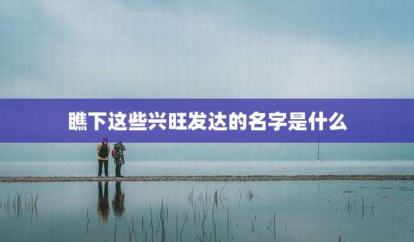 瞧下这些兴旺发达的名字是什么