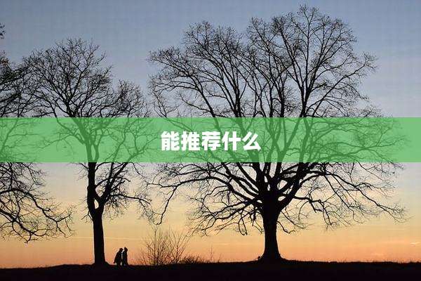 能推荐什么