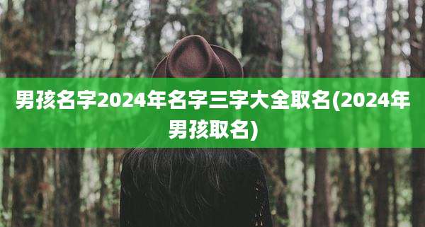 男孩名字2024年名字三字大全取名(2024年男孩取名)