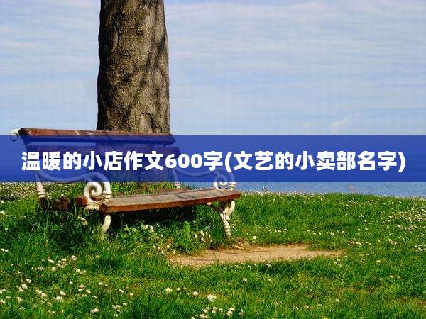 温暖的小店作文600字(文艺的小卖部名字)