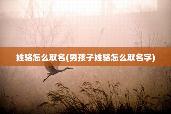 姓骆怎么取名(男孩子姓骆怎么取名字)