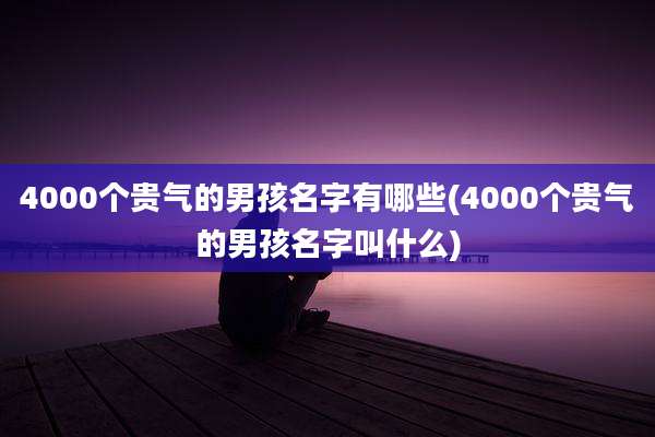 4000个贵气的男孩名字有哪些(4000个贵气的男孩名字叫什么)