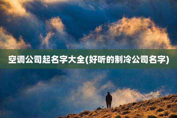 空调公司起名字大全(好听的制冷公司名字)
