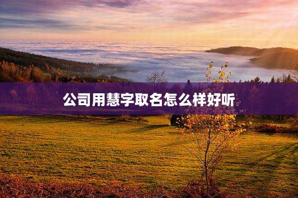 公司用慧字取名怎么样好听