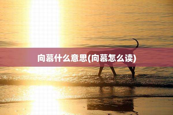 向慕什么意思(向慕怎么读)