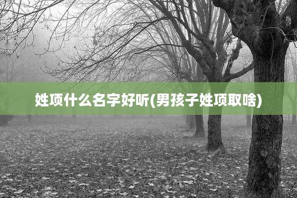 姓项什么名字好听(男孩子姓项取啥)