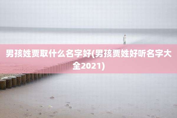 男孩姓贾取什么名字好(男孩贾姓好听名字大全2021)