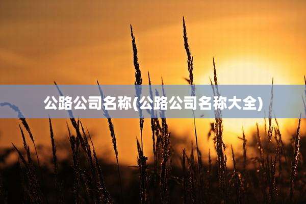 公路公司名称(公路公司名称大全)