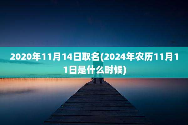 2020年11月14日取名(2024年农历11月11日是什么时候)