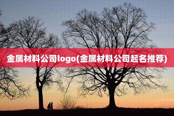 金属材料公司logo(金属材料公司起名推荐)