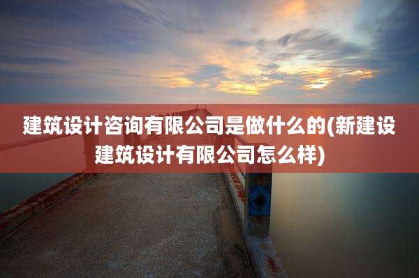 建筑设计咨询有限公司是做什么的(新建设建筑设计有限公司怎么样)