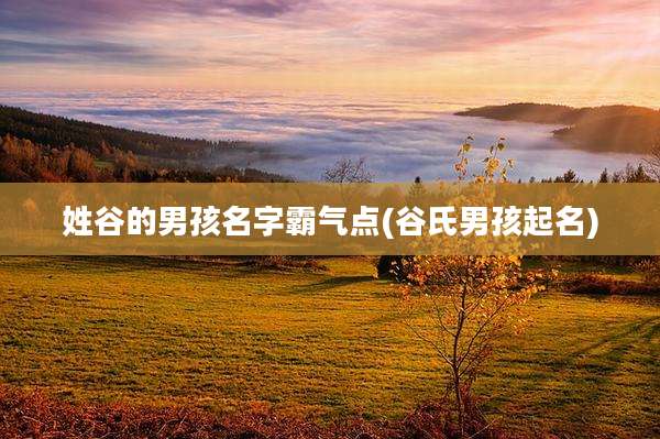 姓谷的男孩名字霸气点(谷氏男孩起名)