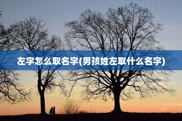 左字怎么取名字(男孩姓左取什么名字)
