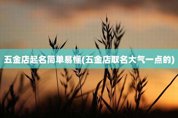 五金店起名简单易懂(五金店取名大气一点的)